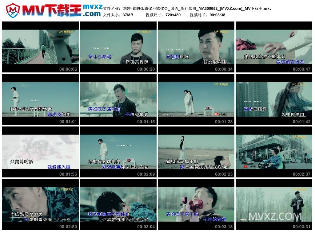 刘冲-我的孤独你不能体会_国语_流行歌曲_MA300652